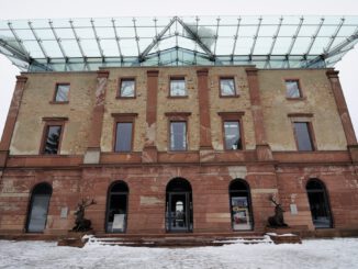 Tannen selbst schlagen: Verkauf aus zertifiziertem Stadtwald am 13. Dezember