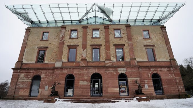 Tannen selbst schlagen: Verkauf aus zertifiziertem Stadtwald am 13. Dezember